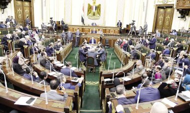 مطالبات برلمانية للنظر في عقوبة الحبس بقانون الهيئة القومية لسلامة الغذاء عند التسبب بالوفاة