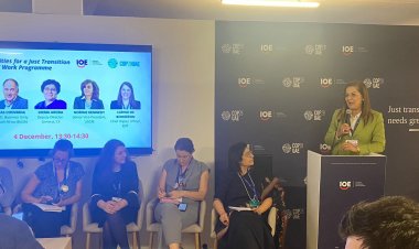 وزيرة التخطيط والتنمية الاقتصادية: الذكاء الاصطناعي يُفاقم التقلبات في أسواق العمل