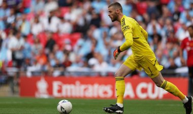 تقارير إنجليزية: نيوكاسل يفكر في التعاقد مع «دي خيا»