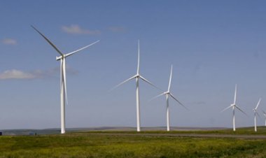 «تراكتبيل» البلجيكية تقيّم عروض شراء مزارع الرياح في مصر