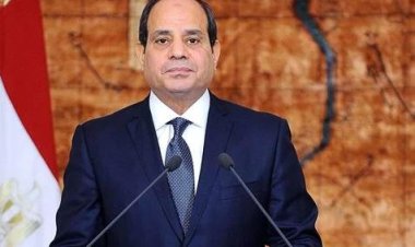 الرئيس السيسي: حل الدولتين هو السبيل لحل القضية وتحقيق السلام في المنطقة