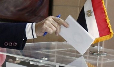 رابط الاستعلام عن اللجان الانتخابية أون لاين مجانًا