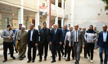 محافظ قنا ونائبه يتفقدان مقار لجان الانتخابات الرئاسية