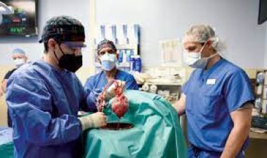 هل زراعة الأعضاء من متبرعين أكبر سناً يؤدي للشيخوخة ؟