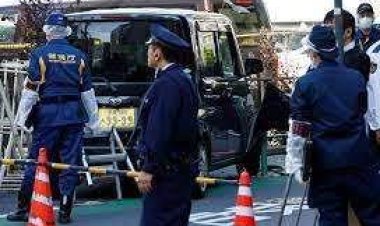 اعتقال سائق سيارة أجرة في طوكيو بتهمة دهس حمامة