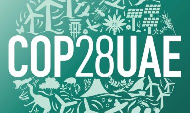 هيئة الرعاية الصحية تشارك بأعمال النسخة الثامنة والعشرين من مؤتمر الأمم المتحدة لتغير المناخ COP28 بإمارة دبي