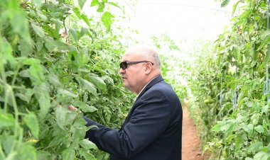 لمتابعة سير العمل والإنجاز.. محافظ قنا يتفقد مشروعات الأمن الغذائي