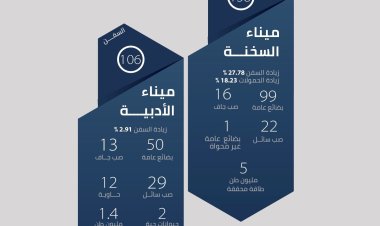 اقتصادية قناة السويس 244 سفينة بالسخنة والأدبية خلال الربع الأول بالعام المالي 2023/2024