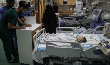 مصدر بالصحة يكشف مصير المتعافين الفلسطينيين بعد علاجهم بالمستشفيات المصرية (خاص)