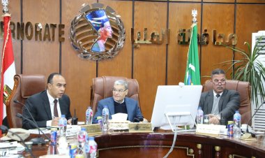 محافظ المنيا يعلن انتظام سير العملية الانتخابية في أول أيام الانتخابات الرئاسية 2024