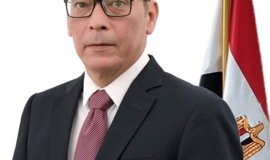 حزب المصريين: أبناء مصر يسطرون ملحمة وطنية أمام لجان الانتخابات الرئاسية