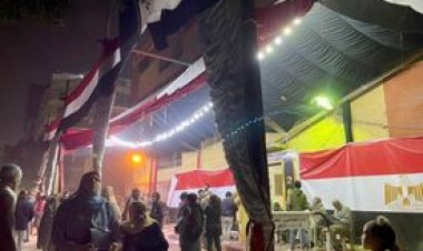 مد التصويت في عدد من اللجان بالقاهرة لكثافة الناخبين.. صور
