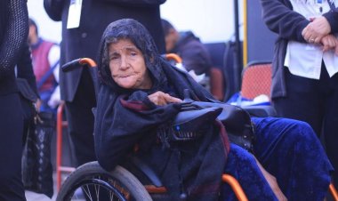 الانتخابات الرئاسية 2024.. مسنة على «كرسي متحرك» تدلي بصوتها في شبرا (صور)