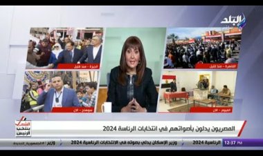 رشا مجدي: الانتخابات الرئاسية تحظى بمتابعة كبيرة في الخارج