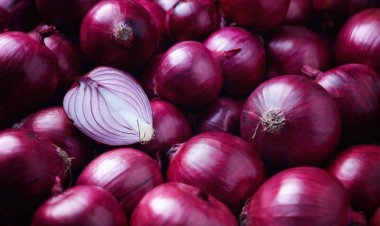 خلال أسبوعين.. الزراعة تعلن مفاجأة سارة للمواطنين بشأن البصل