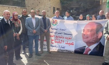 العاملون بالضرائب: المصريين ضربوا عظيم المثل للرد على أهل الشر (صور)