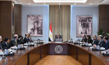 سيستمز: نمتلك 8 مصانع لإنتاج ضفائر السيارات في مصر باستثمارات 100 مليون دولار