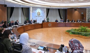 الحكومة: استمرار منع تصدير البصل حتى 30 مارس المقبل