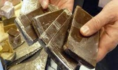 ضبط 175 طربة لمخدر الحشيش بحوزة عاطل بالإسكندرية بقصد الإتجار