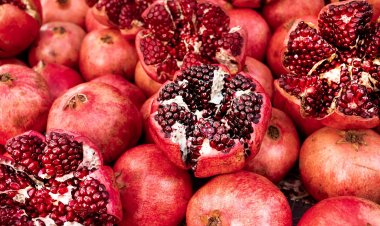 وزير التموين: إقامة منطقة لوجستية لفاكهة الرمان بمنطقة البداري في أسيوط