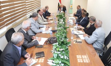 «القصير» يتابع مع قيادات الوزارة زراعة القمح ويوجه بالحصر الدقيق للمساحات المنزرعة