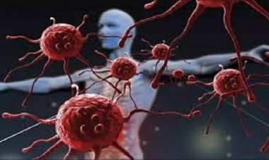 خاص| استشاري مخ وأعصاب يكشف سبب انتشار الأمراض المناعية فجأة في الفترة الأخيرة