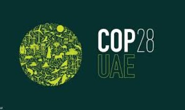 العالمي للبيئة يكشف اهم بنود اتفاق المناخ في الإمارات ودور مصر 