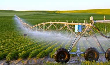 37.1 مليار متر مكعب كمية المياه المستخدمة فى رى المحاصيل الزراعية 2022   