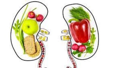 تعرف على الأطعمة الصحية التي تفيد الكُلى