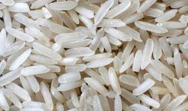 التموين تعلن عن ممارسة لاستيراد أرز هندي