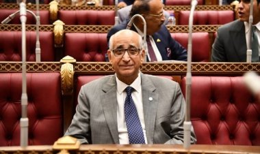 برلماني بالشيوخ يقدم اقتراحًا لدراسة التوسع في إنشاء بنوك مصرية بإفريقيا