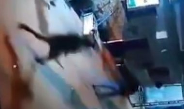 ضبط 5 لاتهامهم بقطع يد شاب فى مشاجرة ببنها