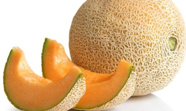 بسبب فاكهة ملوثة بالسالمونيلا.. وفاة وإصابة المئات بالولايات المتحدة