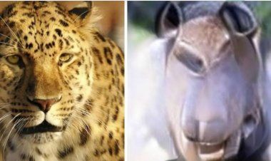 أول صورة ذهنية باستخدام الذكاء الاصطناعي