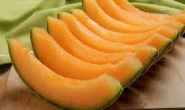 استمرار تفشي عدوى السالمونيلا في الولايات المتحدة وكندا