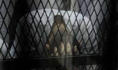 الإعدام شنقاً للمتهمين بقتل شخص في بولاق الدكرور