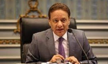 الأعلى للإعلام: الرئيس أنقذ البلاد من السقوط وسيصل بها إلى بر الامان