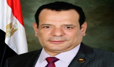 النائب نافع عبد الهادي: فخرون بجهود أبناء حزب «حُماة الوطن» في إدارة انتخابات الرئاسة