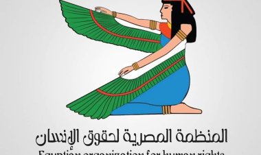 "بعد فوزه" ملفات تضعها منظمة حقوق الإنسان المصرية أمام الرئيس السيسي