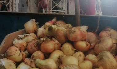 «تراجع البصل والطماطم».. أسعار الخضروات بالأسواق اليوم الثلاثاء | بث مباشر