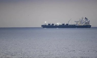 خلال اتصال هاتفي مع نظيره الأمريكي.. «شكري» يؤكد أهمية الملاحة الآمنة في البحر الأحمر