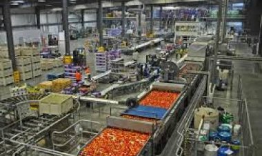 أستاذ اقتصاد زراعي: نصدر طن المحاصيل الزراعية بـ 500 دولار