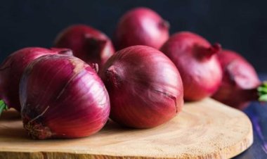 مستشار وزير الزراعة: «الدولة لن تسمح بالممارسات الاحتكارية»