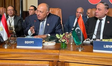 شكري يؤكد مجددًا على أهمية الوقف الفوري والمستدام لإطلاق النار في غزة