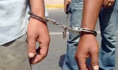القبض على خفير وصديقه لسرقتهم أسلحة غير مرخصة من داخل مزرعة بمنطقة الشيخ زايد