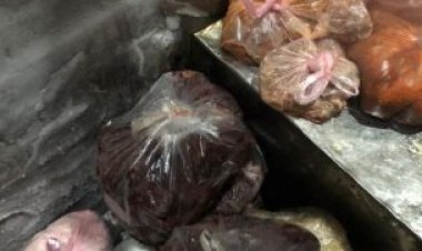 ضبط 10.7 طن لحوم ودواجن فاسدة داخل محال ومطاعم شهيرة بالجيزة 