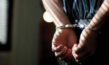 ضبط عنصر إجرامي مسلح ومتورط في 12 قضية بالدقهلية