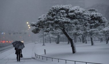 عاصفة ثلجية تضرب اليابان.. والأرصاد تُحذر المواطنين