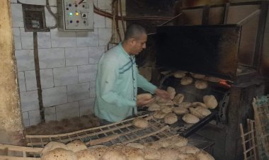 تموين المنيا: 124 مخالفة متنوعة خلال حملات على المخابز البلدية والأسواق