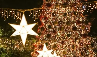 شجرة عيد الميلاد تقتل امرأة  في بلجيكا.. تفاصيل